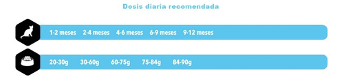 Amity Cat Sp Low Grain Salmón Kitten 2kg. Np
