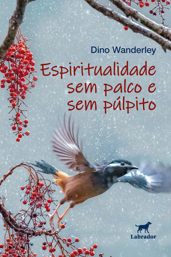 Espiritualidade Sem Palco E Sem Púlpito, De Dino Wanderley. Editora Labrador, Capa Mole, Edição 1 Em Português, 2023