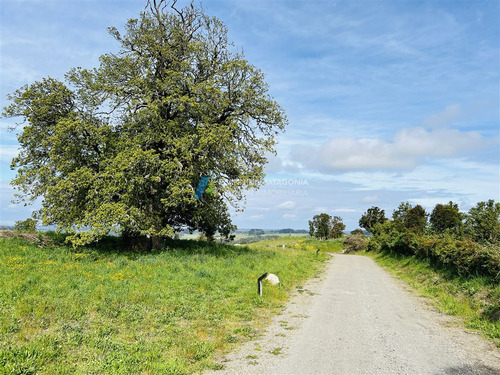 Parcelas En Venta Con Vista Al Lago Y Volcanes En Frutillar