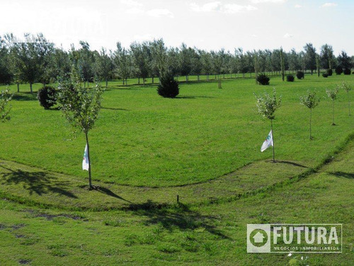 Imagen 7 de 19 de Terreno En Venta En Barrio Privado Pinares Del Sur Lote 63