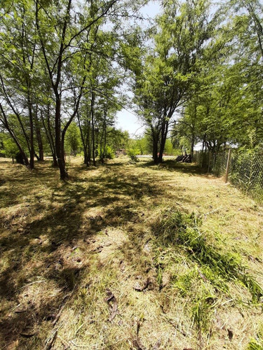 Imagen 5 de 27 de Venta - Lote Con Mejoras - Molino Blanco - Exaltación De La Cruz