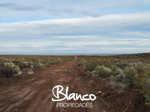 Terreno Campo En Venta En 25 De Mayo, Puelen, La Pampa