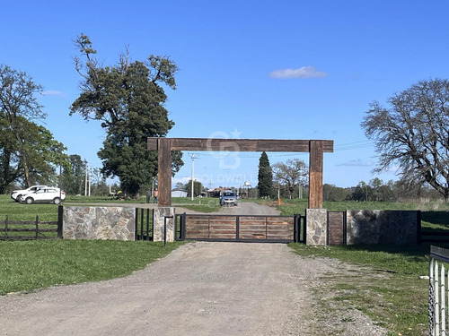 Hermosa Parcela De Agrado Con Vista Al Volcán Osorno