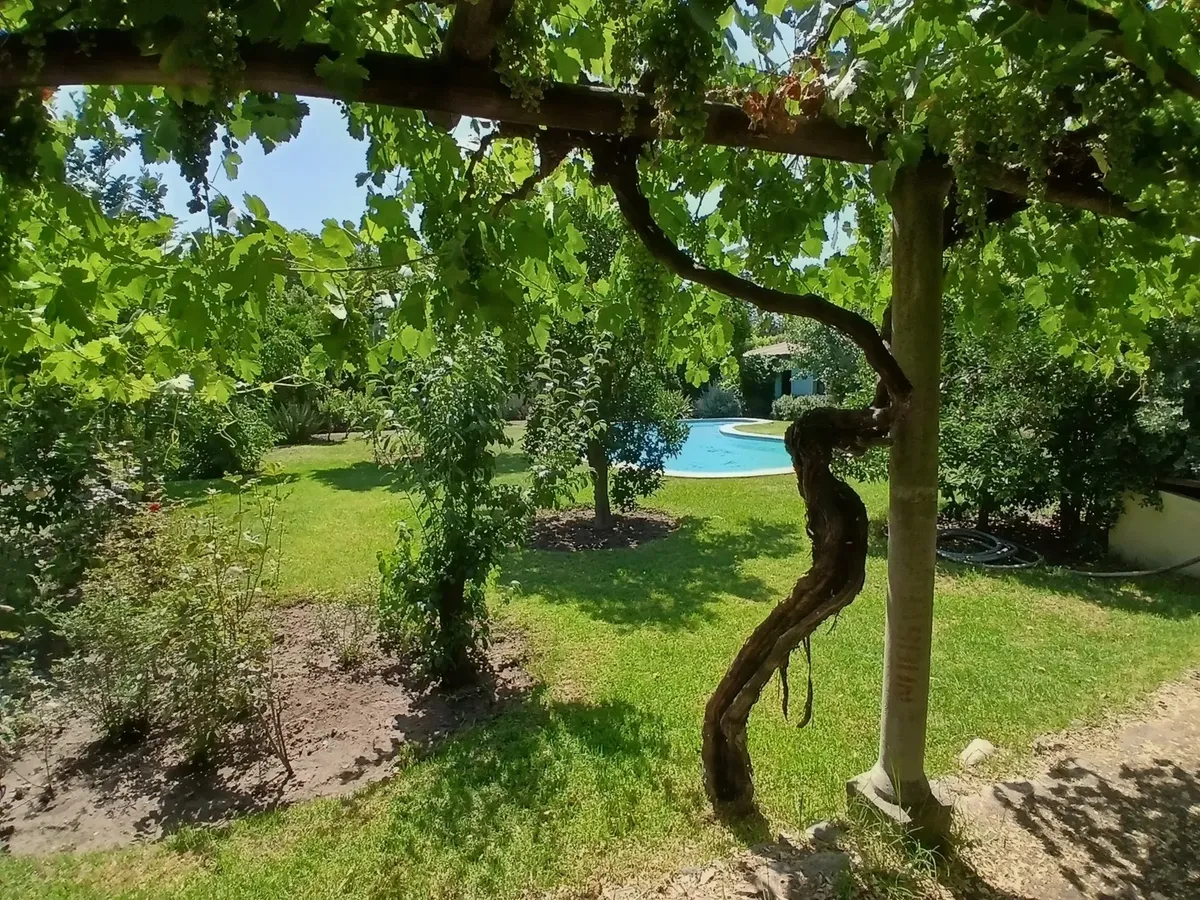 Imagen 5 de 21 de Vende Casa En Olmué En Parcela Pasos Av. Eastman.