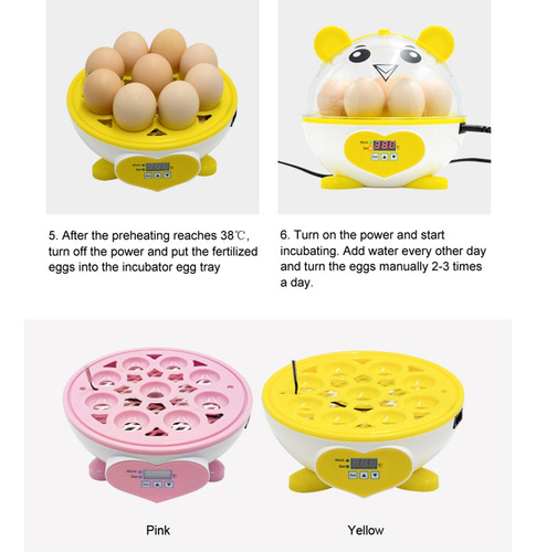N Los Niños Regalo Huevos De Codorniz Ganso Pantalla