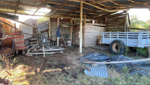 Imagen 29 de 30 de Se Vende Campo De 77 Has En Maldonado. A Pocos Km De Aiguá En Zona De Ruta 39. Ubicación Privilegiada!