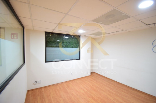 Oficina En Renta En Anzures - 24c/3b/1e - Excelente Ubicación - 870m2