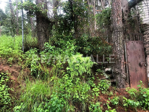 Imagen 3 de 3 de Terreno En Venta