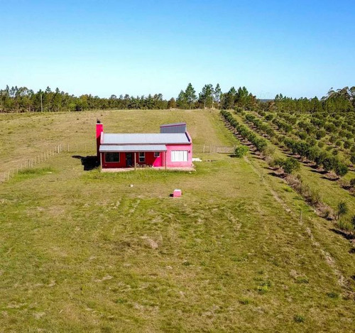 Imagen 4 de 23 de Campo En Venta En Punta Del Este (ref: Atm-5648)