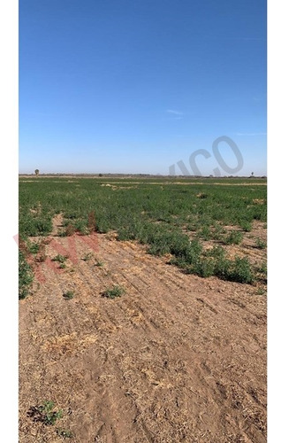 Terreno Agricola Con Permiso De Riego En Venta Colonia Camacho En Mexicali B.c