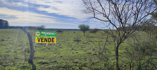 Venta Campo - Colonia Nueva - San Jose- E.r.