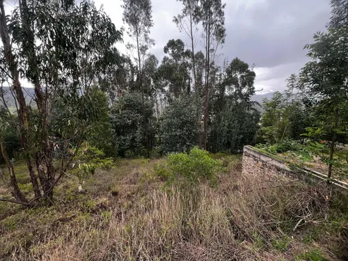 Lote Vereda Gotua- 1073 M2 - Vía Iza