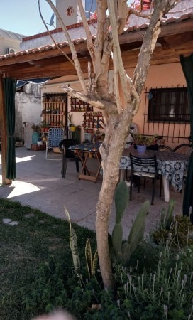 Imagen 8 de 23 de Casa Con Piscina, Cochera Y 4 Dormitorios Zona Puente Santo Tomé.