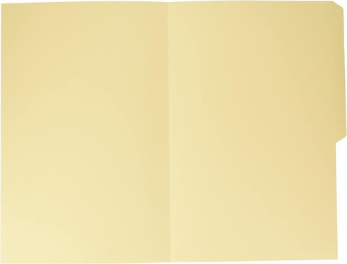 Folder Tamaño Carta Colores Claros Paquete C/100 Pz