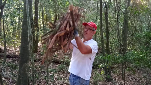 Cipó Cravo 100 Gr