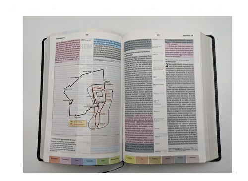 Imagen 5 de 10 de Biblia Estudio Arcoiris Ntv Piel Fabricada Negro