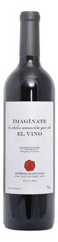 Vino Imaginate De Matias Etchart Quebrada De San Lucas !!