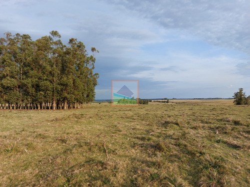 Chacra Turística 21hás Rincón De José Ignacio, Maldonado