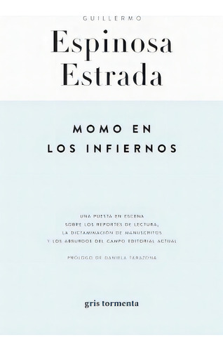 Momo En Los Infiernos, De Guillermo Espinosa Estrada. Editorial Gris Tormenta, Tapa Blanda En Español
