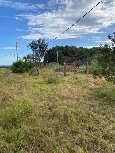 Terrenos En Chacritas De La Serena ( La Paloma )
