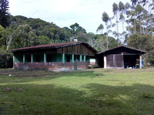 Imagem 3 de 19 de Sítio À Venda Em Juquitiba, Excelente Oportunidade! - 355 - 33553342