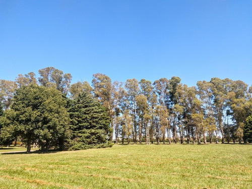 Imagen 6 de 12 de Chacra - El Argentino Farm Club