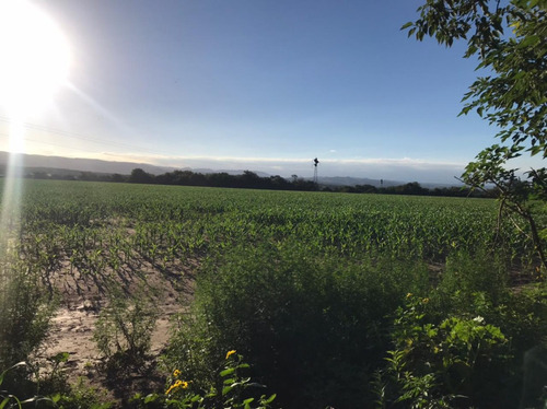 Se Vende Campo Mixto 161 Ha En Los Molinos (córdoba), A Tranquera Cerrada.
