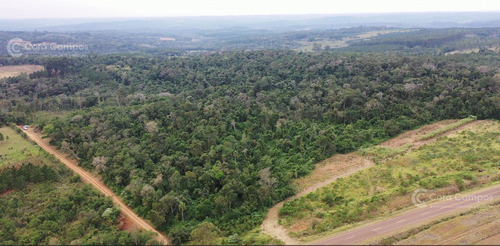 Chacra En Venta De 25ha En Olegario Victor Andrade