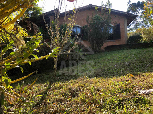 Imagem 6 de 30 de Chacara - Ch00028 - 69844648