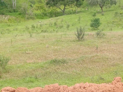 Imagem 4 de 6 de #v# J11- Traga Sua Família E Adiquira Sua Chácara Em Igaratá