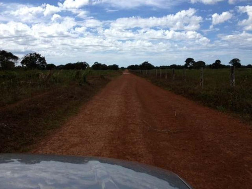 Imagem 16 de 30 de Fazenda À Venda, 430000 M² Por R$ 313.900.000,00 - Centro - Pium/to - Fa0047