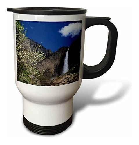 Vaso - 3drose  California Upper Yosemite Falls Apple Tree Us