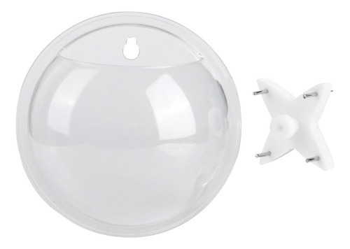 Decoración De Acuarios Mini Colgante De Pared Transparente