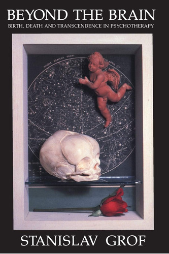 Libro: Beyond The Brain: Birth, Death, And In P