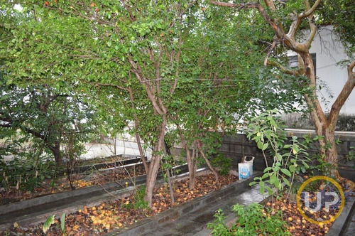 Imagem 13 de 15 de Casa Em Barroca - Belo Horizonte, Mg - 1560