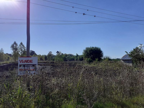 Terreno - Nueva Palmira