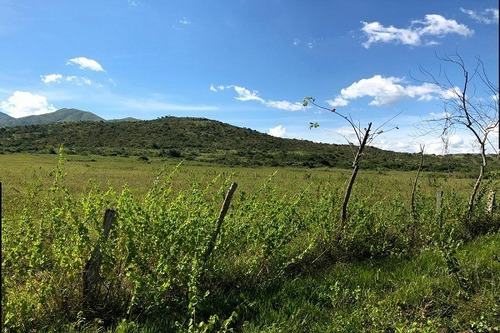 Imagen 20 de 25 de Asein882 Vende Excelente Finca En Tinaquillo Sector Caño De Agua