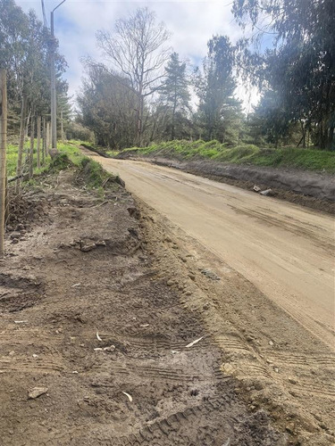 Imagen 12 de 12 de Terrenos Exclusivos Los Pinos De Reñaca/venta Sin Comisión