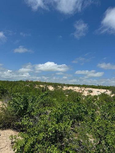 Terreno En Venta En Los Cabos Con Vista Parcial Al Mar, East Cape.
