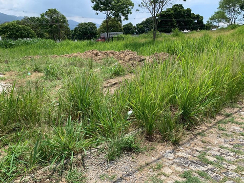 Imagem 8 de 15 de Terreno Para Venda Em Rio De Janeiro, Santíssimo - 011_2-179827