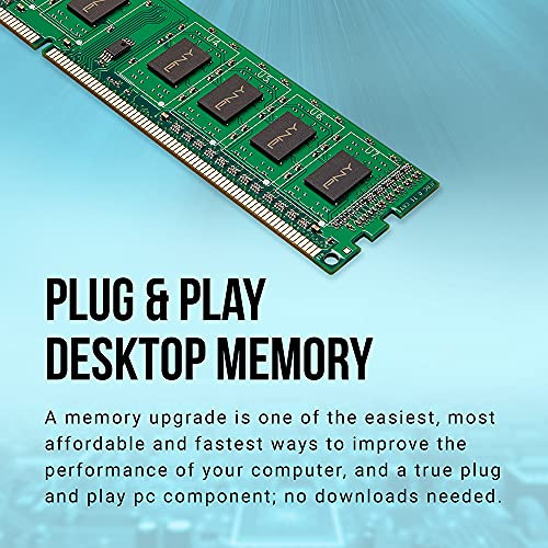 Escritorio Pony Performance Ddr3 De 8 Gb, 1600 Mhz (pc3-1280
