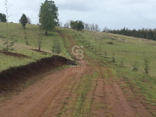 Parcelas Cerca De Osorno Desde $39.900.000 Sin Comisión