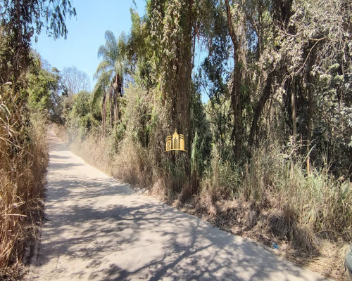 Imagem 2 de 8 de Fazendinha Em Esmeraldas - Te00411 - 70057894