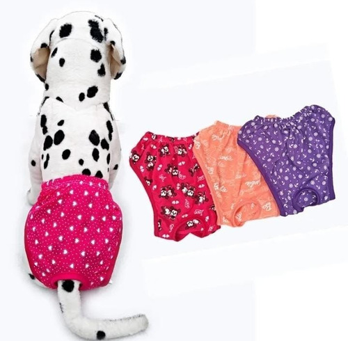 Calzones Algodón Para Perros Talla 1, Mascotas (pack De 3) 