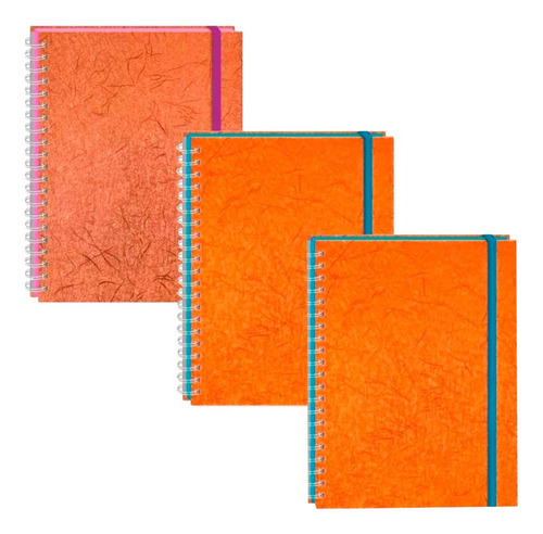 Kit 3 Cuaderno Profesional Printaform Metalico Fibra 100 H
