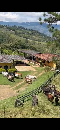 Vendo O Permuto Finca En Bitaco -valle Del Cauca