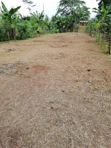 Invierta Ahorita, Pronto Da Inicio A Un Mega Proyecto En Horquetas Que Eleverá El Precio Del Metro Cuadrado. Https://semanariouniversidad.com/pais/inder-compra-finca-en-rio-frio-de-sarapiqui-a-banco-n