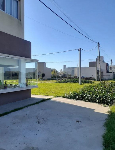 Imagen 6 de 30 de Casa Venta 2 Dormitorios 1 Baño Y Toilette 98 Mts 2 Totales - Villa Elvira