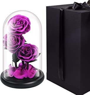 Rosas Moradas | MercadoLibre ?