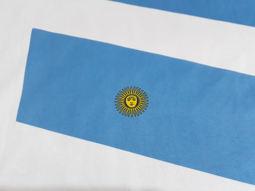 Camiseta De Los Pumas .año 2012 .titular (Usado)